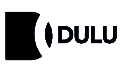 DULU Consulting – Expert Medical Billing & Practice Management Services