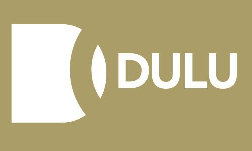 DULU Consulting – Expert Medical Billing & Practice Management Services
